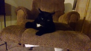 IMG_20160829_065158362