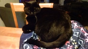 IMG_20160901_072351289