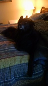 IMG_20160901_090652043