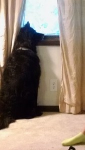 img_20160910_183316219