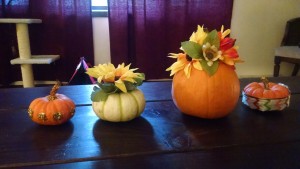 img_20161003_171209108