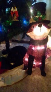img_20161129_072113687