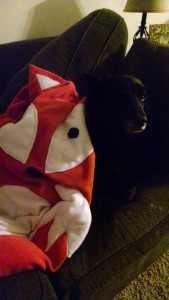 IMG_20170205_204905478