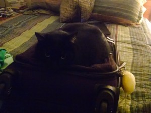 IMG_20170426_190843550